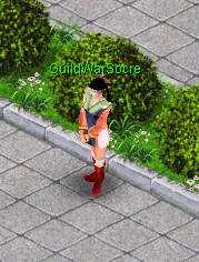 GuildWarScore