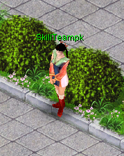 SkillTeamPk